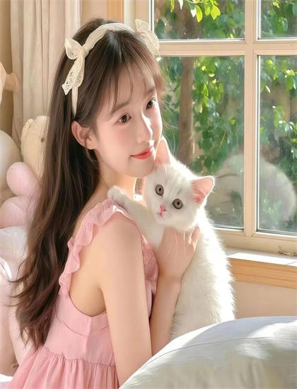 吸血姬美夕Integral重构评价对比：专业影评与观众口碑差异